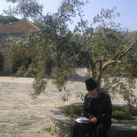 Чтение записок под оливковым деревом Поездка отца Виктора на Афон. Апрель 2013