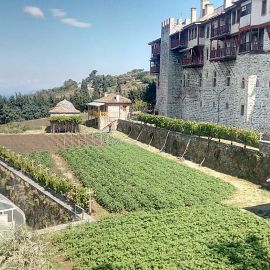 Монастырские угодья - огороды, теплицы Фотоотчет из поездки на Афон 2017