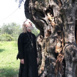Знаменитая 300-летняя олива, в дупле которой нашла приют подвижница Анастасия Паломничество отца Виктора к греческим святыням, 12-22.06.2022 г.